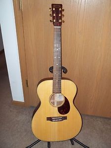 Martin SWOMGT Acoustic Guitar