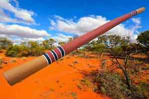 Traditionelles B Yidaki  Eukalyptus Didgeridoo Termite eaten