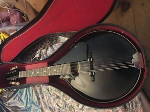Vintage Rare R L Givens Ode mandolin