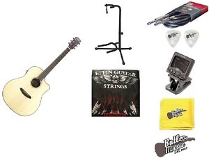 Breedlove Pursuit Dreadnought EB Ebony B&S A/E Guitar w/GigBag,Strings + More!!!