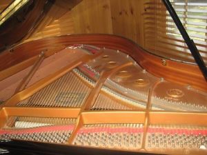 Yamaha GC1 Baby Grand Piano            Polished Ebony SER#5995942 YEAR 2003