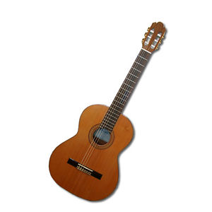 PRIVADA P 6 EL. CHITARRE CLASSICHE AMPLIFICATE  - PRODOTTO NUOVO