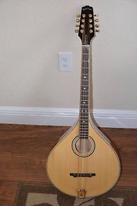 GOLD TONE OM 800+  (pickup)  (6 month warranty)--HARD CASE