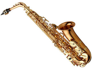 Yanagisawa AW02 Alto Saxophone, Bronze Sax Including Case & Cleaning Accessories