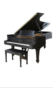 BEAUTIFUL STEINWAY & SONS CONCERT GRAND MODEL D PIANO