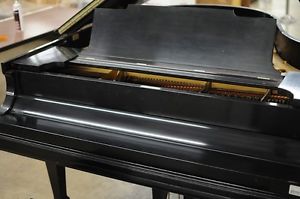 STEINWAY & SONS MODEL M