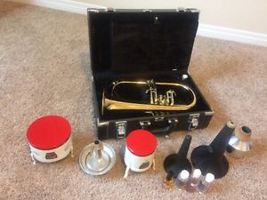 Yamaha YFH631G Professional Flugelhorn Excellent Condition, It Looks Very Nice!