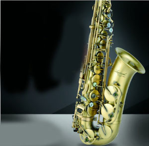 Bronze Professional High-Grade Length 66cm E Flat U-Shape Brass Alto Saxophone #