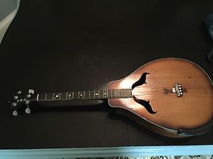 1920's Roy Smeck "VITA" Tenor Guitar