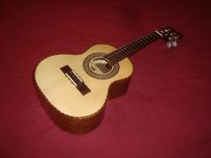 Cavaquinho brazilian Luthier Arredondo +Case