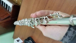 Flute Vogue vogue professional. Excellent!