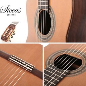 Ariel Ameijenda – 2016 Meistergitarre Guitar Gitarre