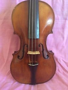 Violino Usato