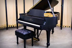 1965 Steinway Model M Grand Piano | Refinished & Refurbished - Satin Ebony