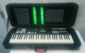 Hammond Sk1 61 Key Portable Organ Electronic Keyboard w/ Case XLNT Cond