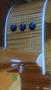 2005 Taylor 614ce Acoustic/Electric Guitar In Collectible Condition