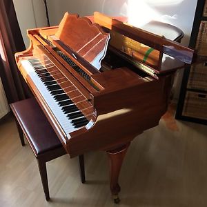 Flügel Salonflügel Stutzflügel Klavier Piano Pianoforte Imperial German Scale