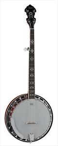 Dean Backwoods 5 String Banjo **NEW**