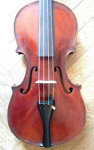Violin F. BERTUCCI, ROMA 1925 ca. ERIC BLOT certificate upon request italian old