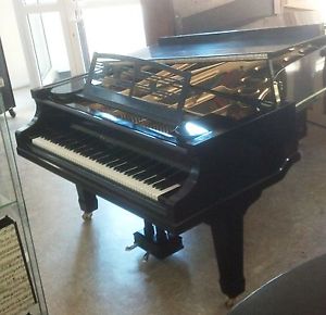 Sensationeller Flügel von Feurich - 230 cm - gestimmt, mit Garantie!