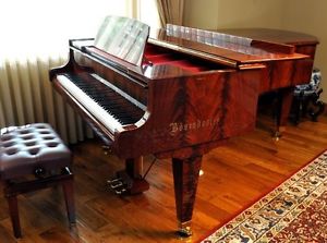 BOSENDORFER Model 225 / 7'4" Semi Concert Grand Piano
