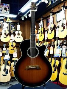 Takamine DSP100 Brown w/soft case Free shipping Guitar Bass from Japan #E938