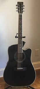Zager EZ- Play Guitar  Acoustic Electric