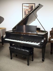 Steinway Model L Parlor Grand Piano