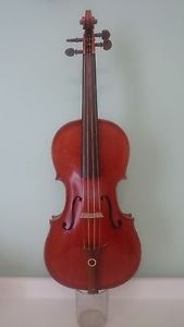violino
