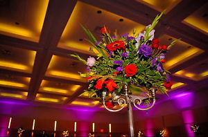 12 WIRELESS CORDLESS UPLIGHTING UNITS CASE DMX CONTROLLER OMNI SYSTEM