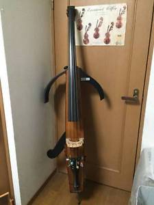 Alter Ego Acoustic Line Ballade DH Upright Bass Free Shipping