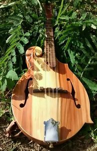 Instrument # 281 fine handcarved f mandolin luthier burgess red cedar