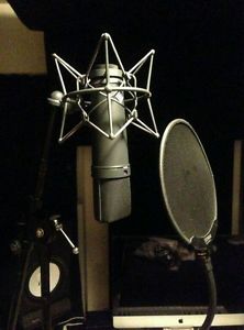 Neumann U 87 Ai Condenser Wired Professional Microphone