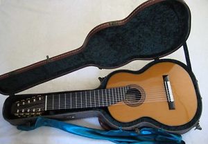 10 string guitar - Milagro - New