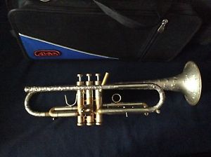 AUTUMN $ALE! BUY HANDMADE INDERBINEN SILVER ART PRO Bb TRUMPET MONETTE MP IF BIN