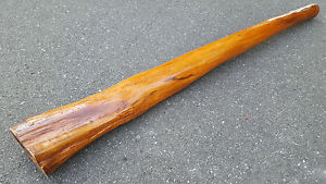Traditionelles G/G# Yidaki David Howell Eukalyptus Didgeridoo MAGO Termite eaten