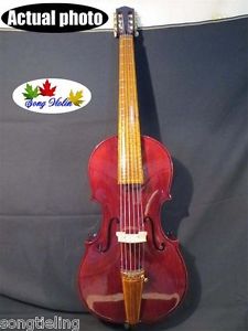 6 strings SONG Brand Maestro 1/4 cello,guitar head, powerful sound