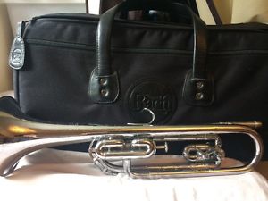 Antique rotary and piston horn