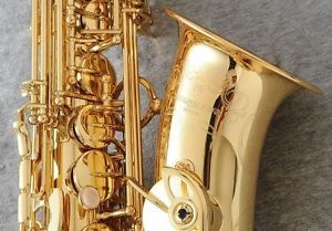 NEW YANAGISAWA A-WO10 Alto Saxophone Free shipping