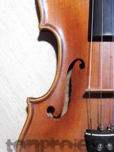 fine old 4/4 German VIOLIN onepiece back fiddle Geige Germany Mittenwald ~1930