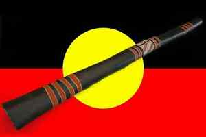traditional C Yidaki termite eaten Eukalyptus Didgeridoo