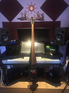 Bass upright Zeta