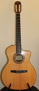 Taylor Classical Guitar (NS24ce-G)