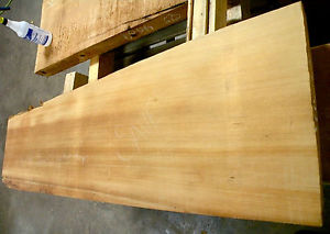 Ancient Kauri Wood! #4107 Excellent Quarter Sawn stock!