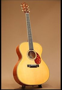 GREVEN The Prairie State Lacewood 2003 Natural w/hard case F/S Guitar Bass #R890