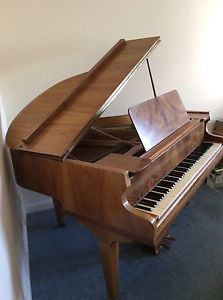 Seeger Baby Grand Piano In Walnut Finish