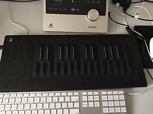 ROLI Seaboard RISE 25 Keyboard Synthesizer