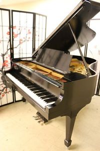 Steinway M Ebony Semi-gloss (SEE SONNY'S VIDEO) Refinished/Restored