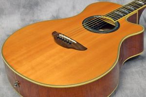 Yamaha APX 900 A