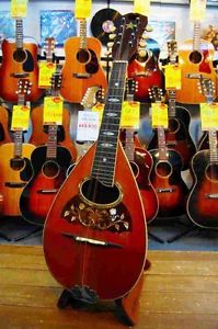 1920's VEGA Bowl Back Mandolin Free Shipping Vintage